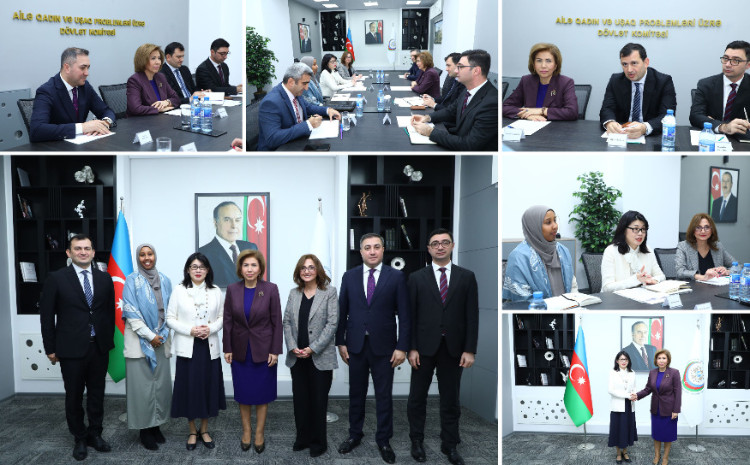 Bahar Muradova və BMT-nin Qadınlar üzrə Agentliyinin nümayəndəsi arasında əməkdaşlıq imkanları müzakirə edilib 