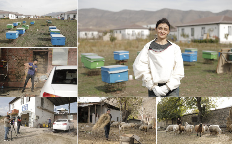 Xocalıda özünüməşğulluq proqramı çərçivəsində qurulmuş təsərrüfatlara mediatur təşkil edilib 