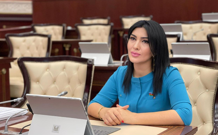 Ümummilli Liderin hakimiyyətə gəlişi: Qüdrətli Azərbaycan dövlətinin təməlinin qoyulması 