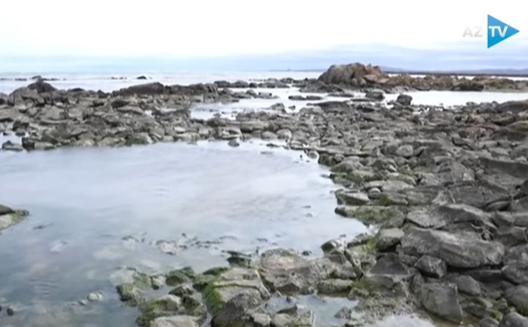 Xəzərdə ciddi təhlükə! Bu ərazilər xəritədən silənə bilər - VİDEO