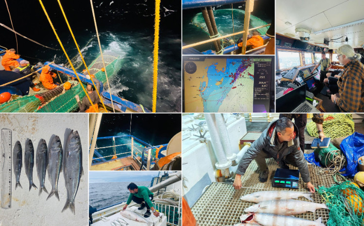 Xəzər dənizində və daxili sularda balıq ehtiyatlarının qiymətləndirilməsi üzrə ekspedisiya yekunlaşıb 