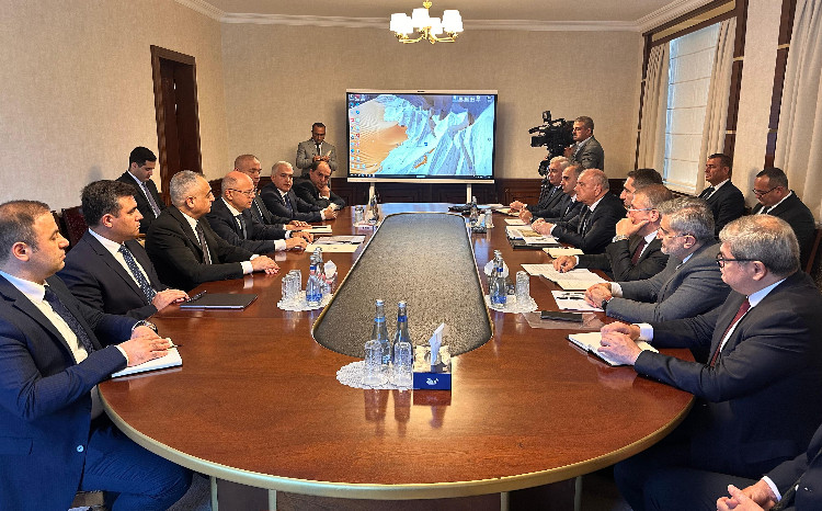 Discussions were held on the development of Nakhchivan as a Green Energy Zone 