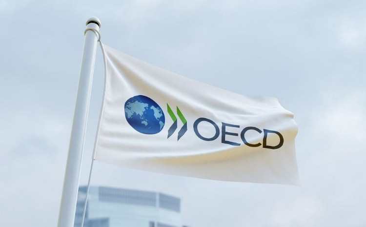 DVX nümayəndəsi OECD-nin yüksək səviyyəli ekspert qrupuna üzv seçilib 