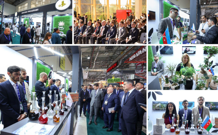 "Rebuild Karabakh" sərgisində KOBİA xüsusi stendlə iştirak edir 