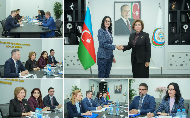 Dövlət Komitəsində Serbiya Respublikasının ailə rifahı və demoqrafiya naziri ilə görüş keçirilib 