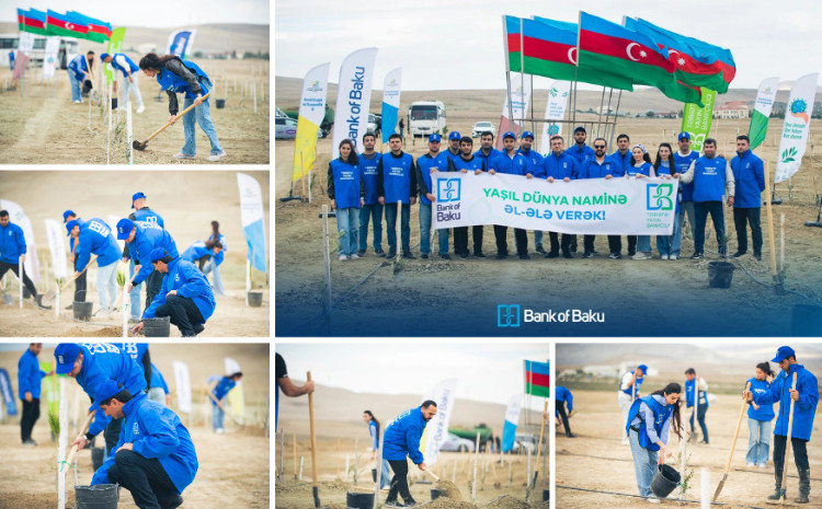 "Bank of Baku"dan yaşıl təşəbbüs - növbəti ağacəkmə aksiyası keçirildi 