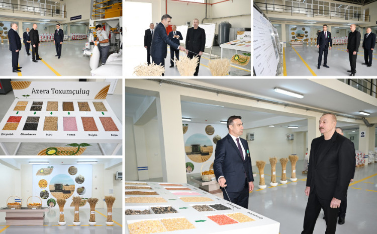 President Ilham Aliyev visited seed processing facility in Sabirabad Industrial District  President Ilham Aliyev visited seed processing facility in Sabirabad Industrial District