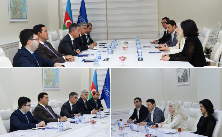 Agentlikdə “Azerbaijan Coca-Cola Bottlers” MMC-nin nümayəndələri ilə görüş keçirilib 
