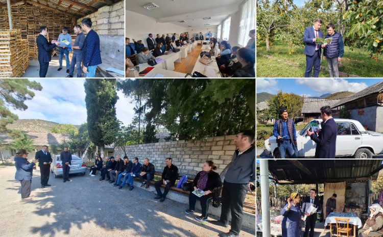 Zaqatala və Balakənin 9 kəndində zərərvericiyə qarşı maarifləndirmə tədbiri keçirilib 