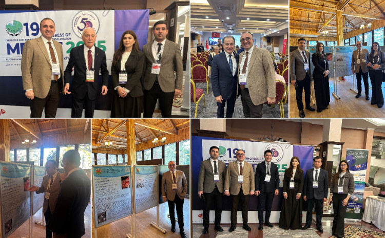 Böyrək Transplantasiyası Mütəxəssisləri 19-cu Orta Şərq Konqresində iştirak edib 