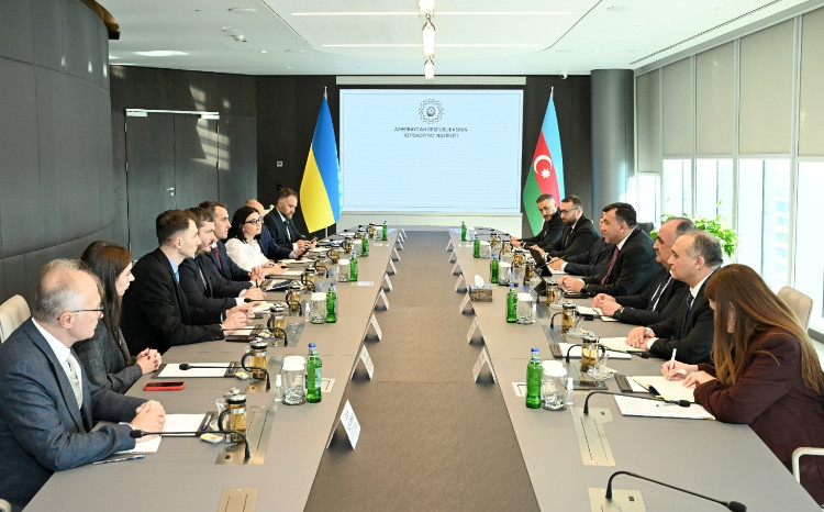 Ukraynanın səhiyyə naziri ilə görüş keçirilib 