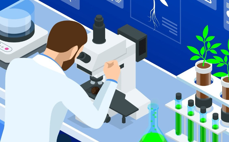 Torpaq analizi nə üçün vacibdir - VİDEO İZAH