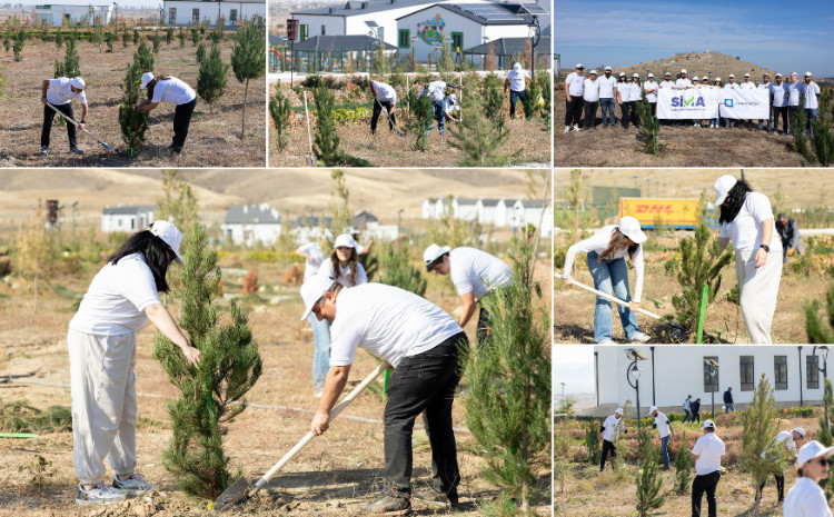 AzInTelecom организовал акцию по посадке деревьев в Агдаме 