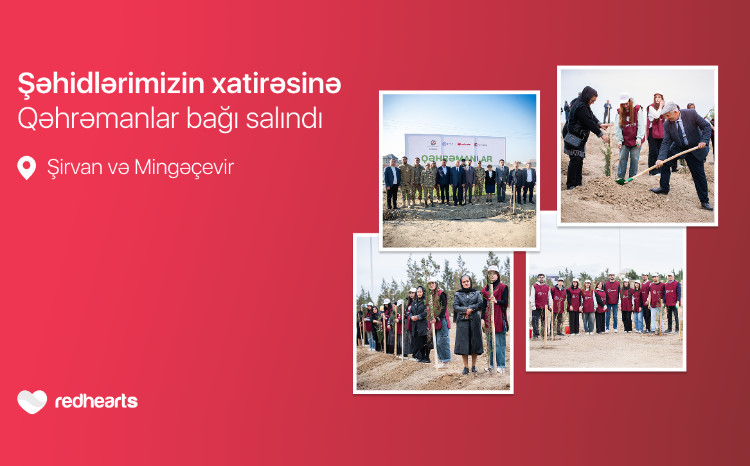 “Garden of Heroes” project: 543 trees planted in memory of martyrs 