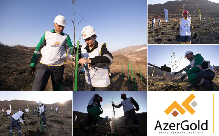 “AzerGold” CJSC organized tree-planting actions in Goygol and Dashkasan districts on Victory Day 