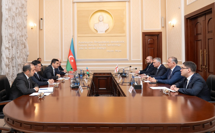 Fərid Əhmədov Gürcüstanın ədliyyə naziri ilə görüşüb 