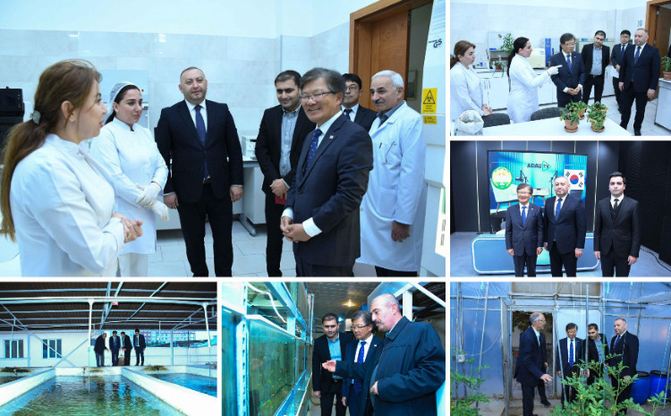 Koreya Respublikasının ölkəmizdəki səfiri ADAU-da olub 