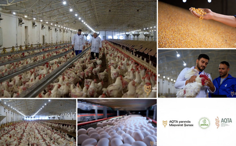 APEPEA “Qida təhlükəsizliyi tək dövlətin deyil, hər kəsin işidir” təşəbbüsünə qoşuldu - VİDEO