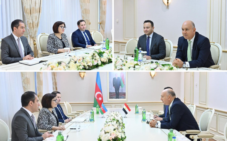 Speaker of Milli Majlis Sahiba Gafarova Meets Ambassador of Egypt to Our Country 