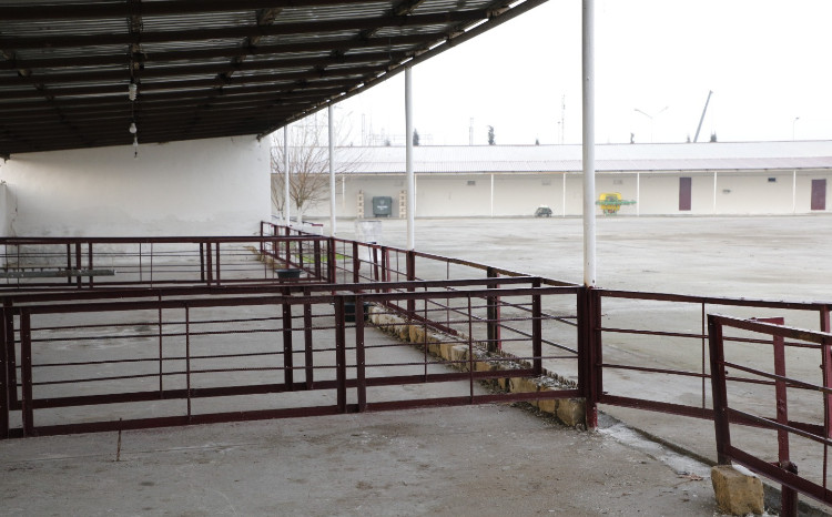 Salyan heyvan bazarı yenidən qurulub - VİDEO