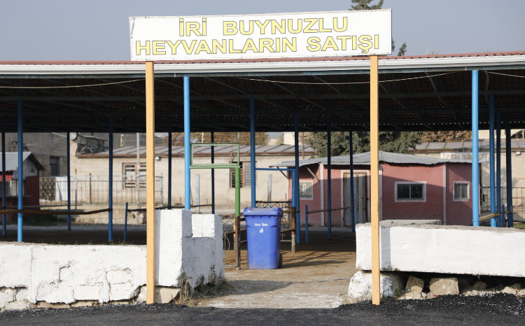 Ölkə üzrə 14 heyvan bazarında rekonstruksiya işləri davam edir - VİDEO