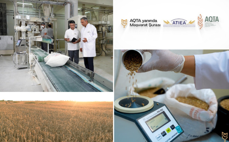 Taxılçılar “Qida təhlükəsizliyi tək dövlətin deyil, hər kəsin işidir” çağırış kampaniyasına qoşuldu - VİDEO