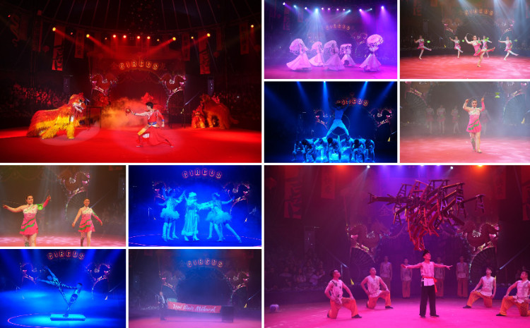 Record-breaking start at the circus: the Chinese Circus has begun - 20,000 tickets already sold 