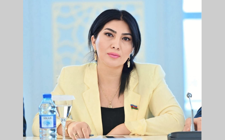 Azərbaycan idmanının uğurlu inkişaf modeli 