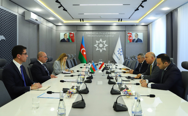 Misirin ölkəmizdəki səfiri ilə ANAMA-da görüş 