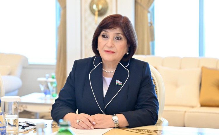 Speaker of Milli Majlis Sahiba Gafarova Holds Scheduled Voter Reception 