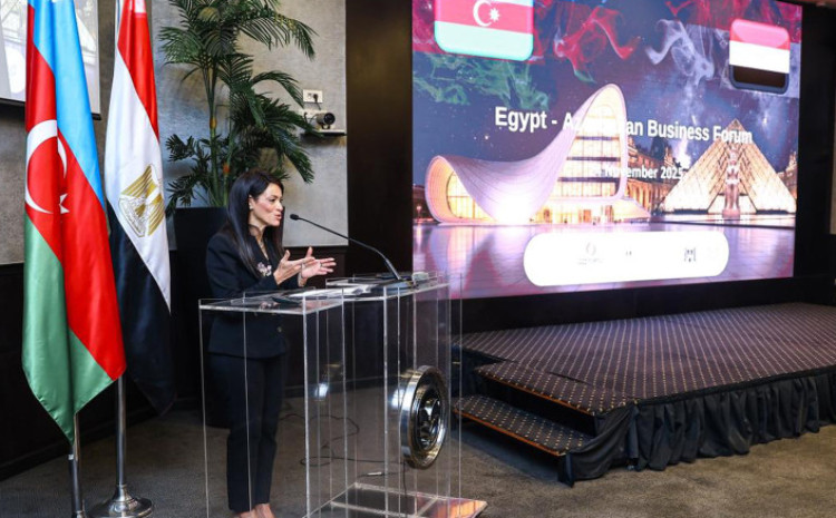 Qahirədə Azərbaycan və Misir şirkətlərinin iştirakı ilə biznes forum keçirilib 