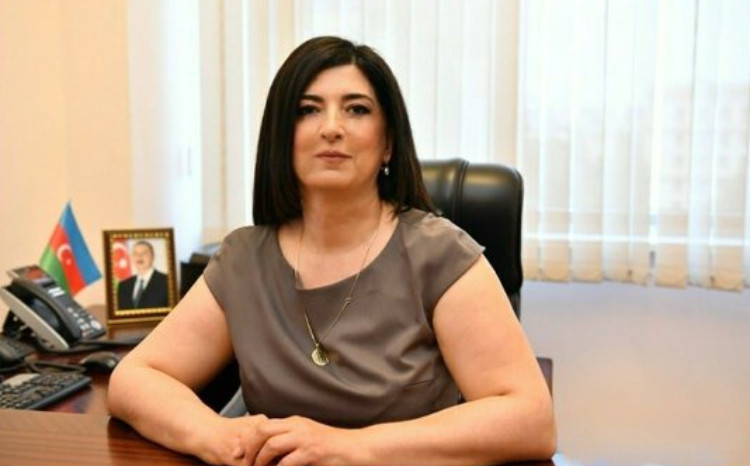 İdman sahəsində əldə olunan uğurlar milli inkişaf strategiyasının tərkib hissəsidir 