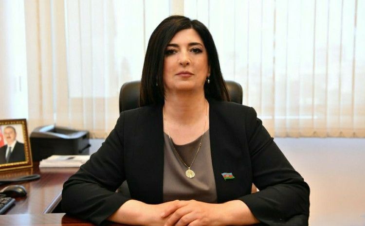 Haqq və ədalət yolunda olan Azərbaycanı heç bir qətnamə dayandıra bilməz 