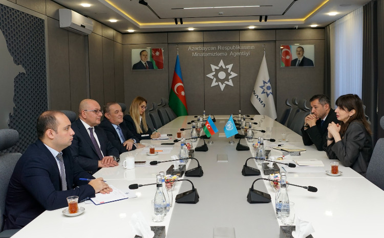 BMT-nin rezident əlaqələndiricisi ilə ANAMA-da görüş 