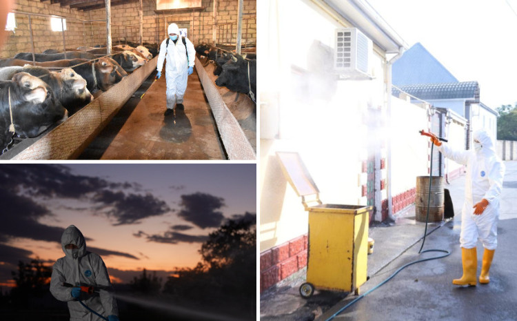 AXA tərəfindən ölkə ərazisində heyvan sağlamlığının təmin olunması istiqamətində ardıcıl tədbirlər həyata keçirilir 