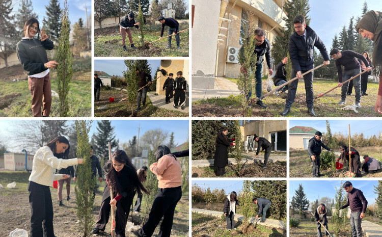 Təbiəti sevmək gələcəyə nəfəs verməkdir 