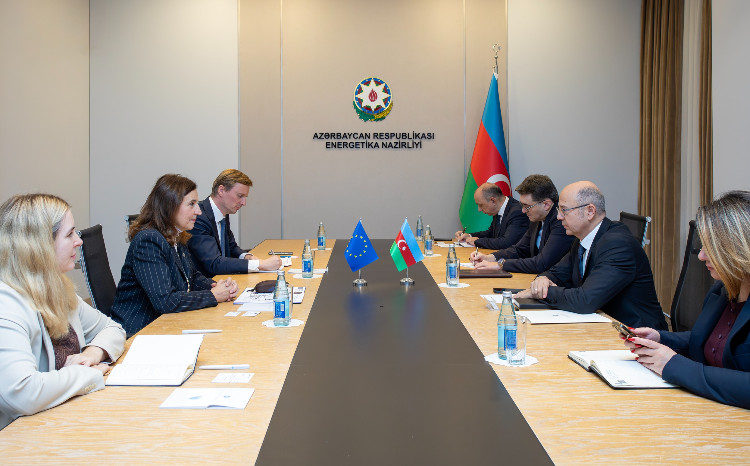 The Energy Minister meets with the Head of the European Union Delegation to Azerbaijan 