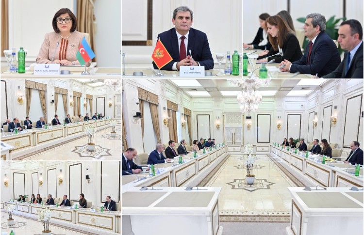 Milli Məclisin sədri Sahibə Qafarova Monteneqro Baş nazirinin müavini, xarici işlər naziri ilə görüşüb 