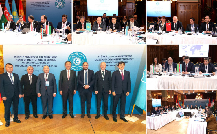 Diaspora dair Birgə Fəaliyyət Planı qəbul olunub 