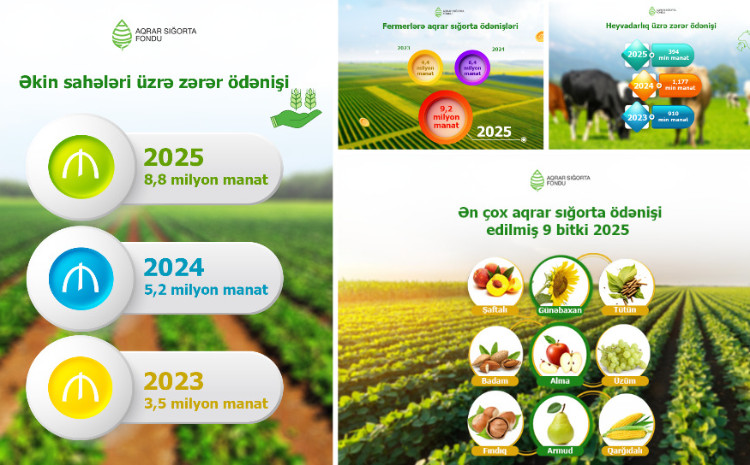 Azərbaycanda ən çox aqrar sığorta ödənişi edilən əkin sahələri açıqlanıb 