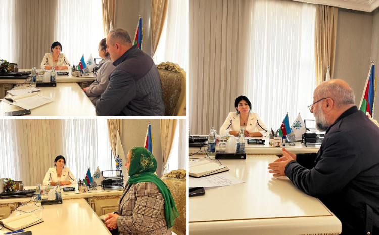 Milli Məclisin deputatı Elnarə Akimova seçicilərlə görüşdü 