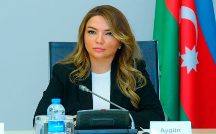 Aygün Əliyevaya yeni vəzifə verildi 