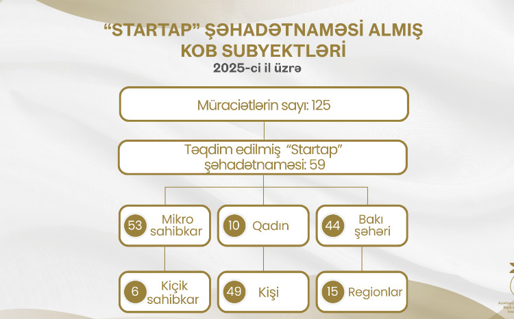2025-ci ildə 59 mikro və kiçik sahibkar innovativ layihələr üzrə vergi güzəştləri əldə edib 