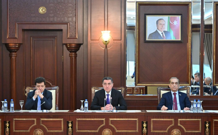 Hüquq siyasəti və dövlət quruculuğu komitəsinin iclasında 
