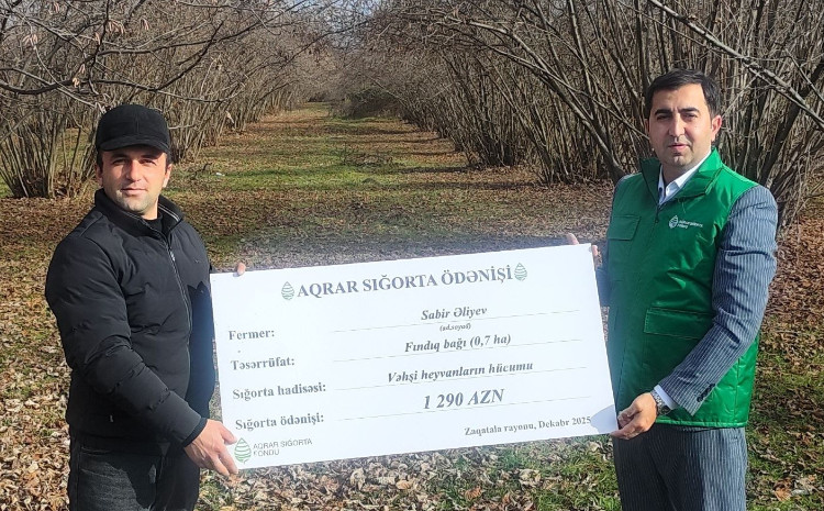 70 manat ödəməklə bağını sığorta etmişdi - 1290 manat sığorta ödənişi aldı 