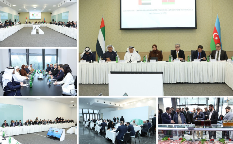 BƏƏ ilə qida sektoru və aqrar sahədə əməkdaşlıq müzakirə olunub 
