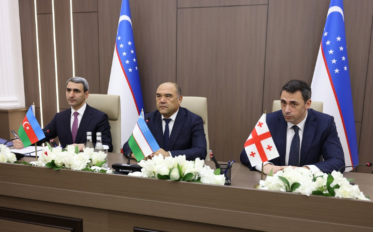 Растет интерес к Евразийскому транспортному маршруту: Грузия присоединилась к международной ассоциации 