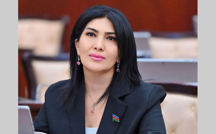 Strateji etimadın siyasi enerjisi: Bakı–Belqrad xəttində inkişaf və ortaq gələcək 