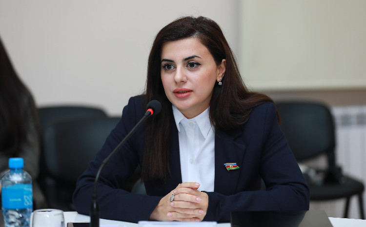 Münhen Təhlükəsizlik Konfransı - Azərbaycanın qlobal səhnədə prinsipial diplomatiya nümayişi 