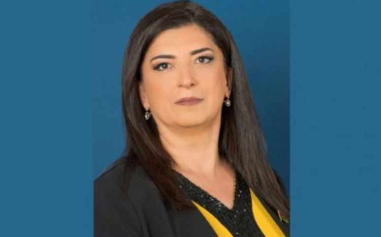 Azərbaycan - BƏƏ strateji tərəfdaşlığı: İlham Əliyevin uzaqgörən siyasətinin növbəti uğuru 